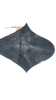 Back Seal Bag
