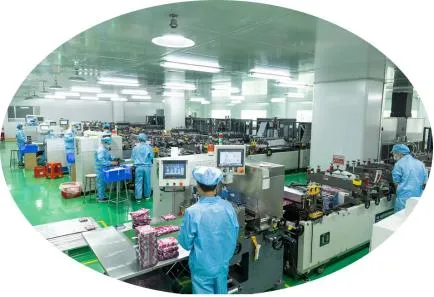 Lightweight-Factory-Customized-Food-Packaging-Bags-for-Easy-Transportation