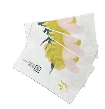 Facial sheet pouch