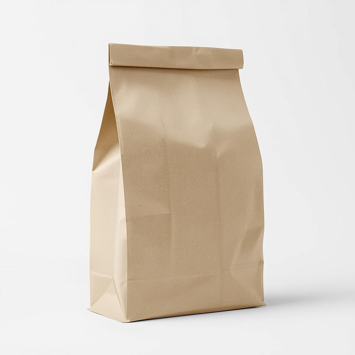 Plastic Vs. Paper Vs. Fabric Bags: Which Is Truly The Best Choice for Your Packaging Needs?