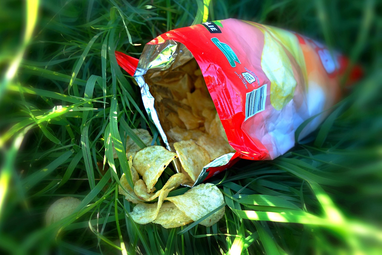 Food Bags